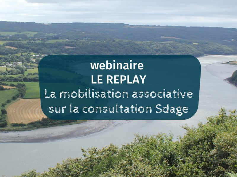Vidéo  |  Revivez notre webinaire sur la consultation Sdage