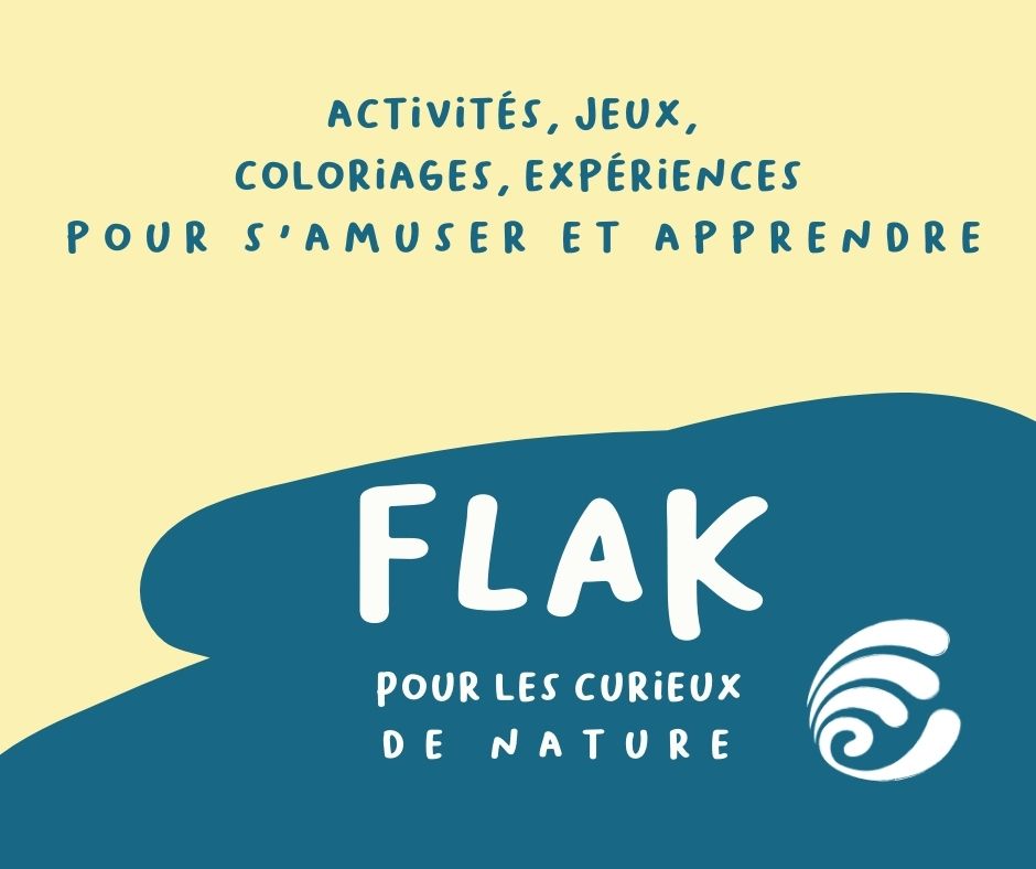 Flak, pour les curieux de nature