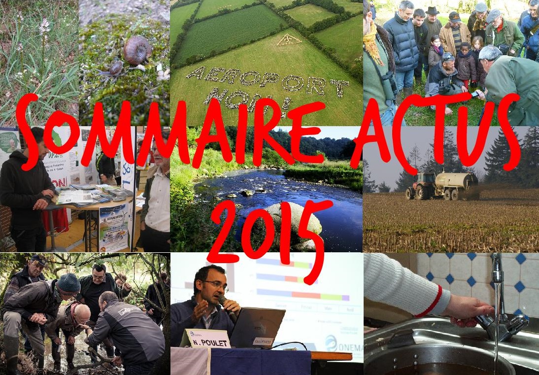 Sommaire actus 2015
