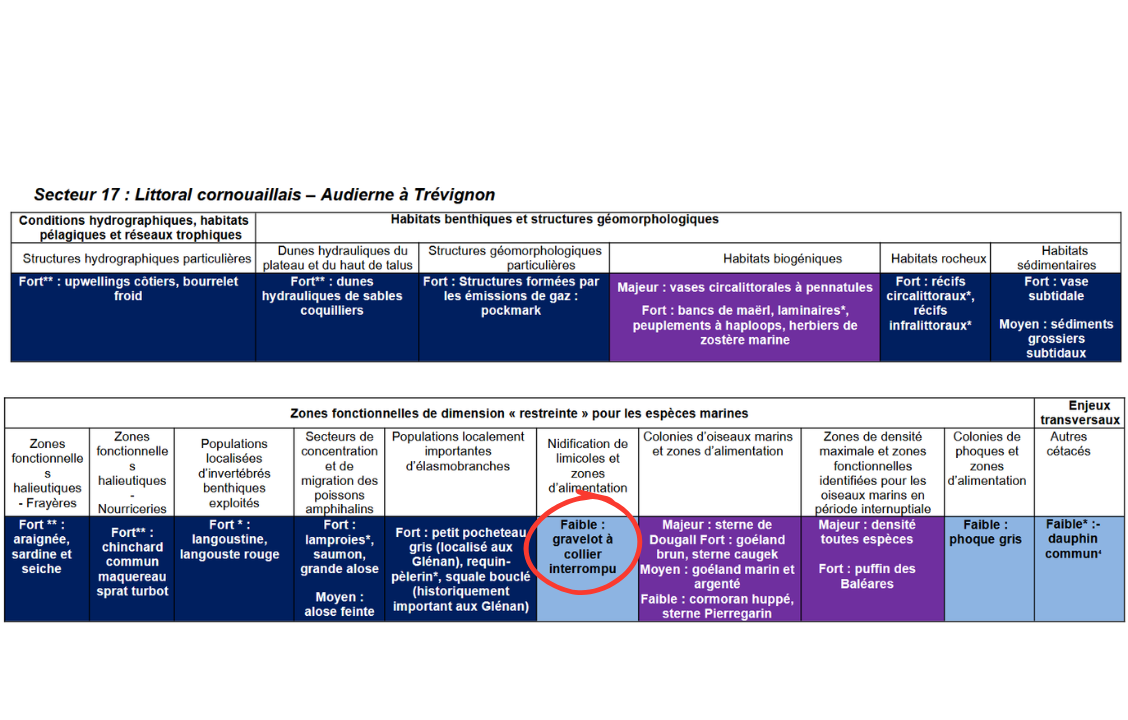 2025_carte des secteurs_description enjeux audierne_trevignon.png