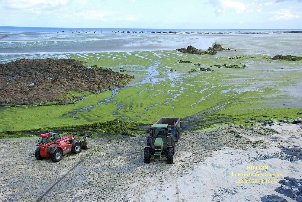 Marées vertes en images | Eau et Rivières de Bretagne