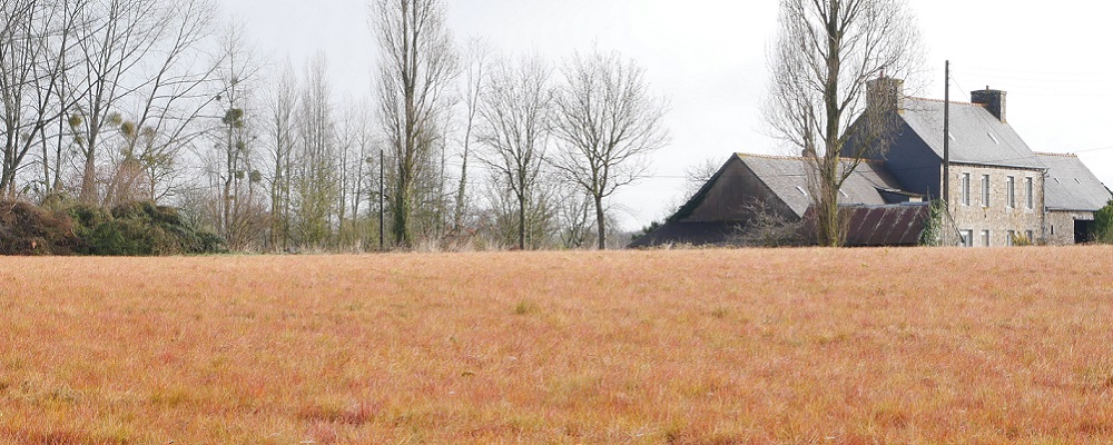 Épandage des pesticides : les préfets doivent protéger les riverains, pas aggraver la situation !