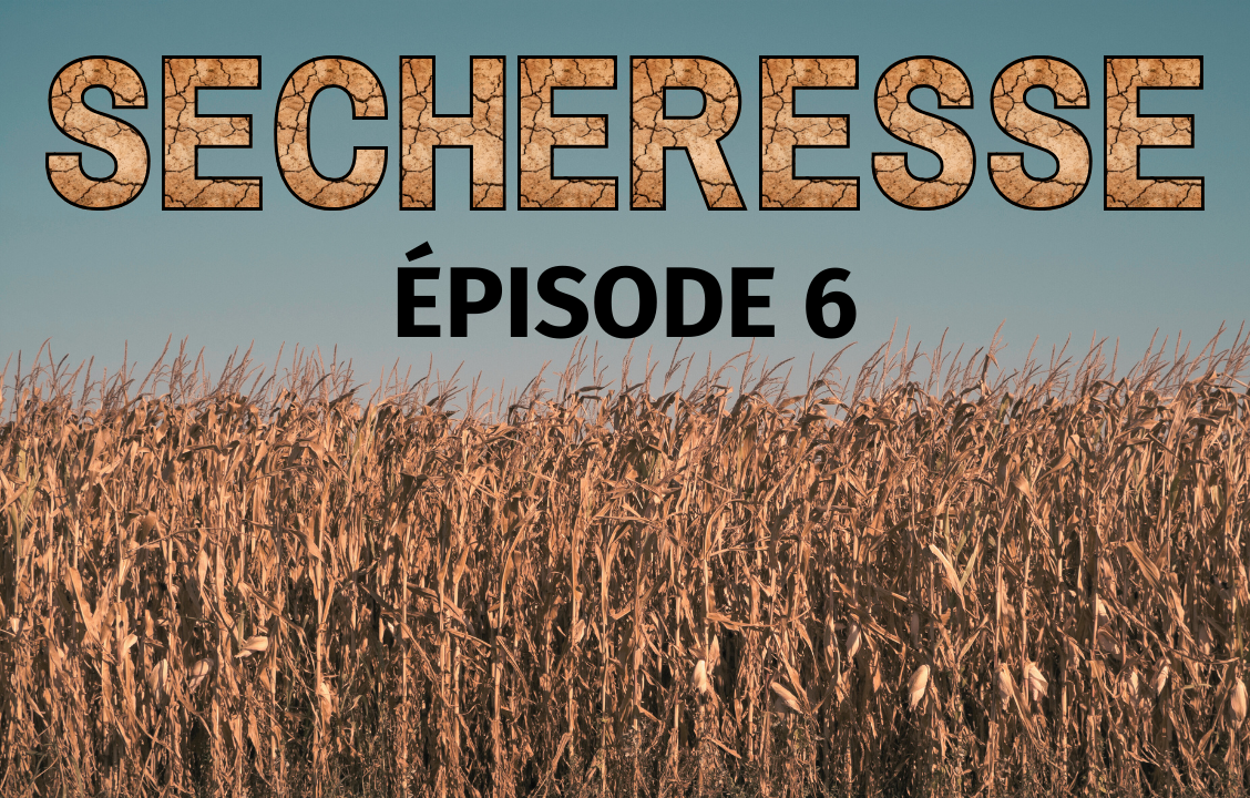 Sécheresse : l'adaptation de l’agriculture ?