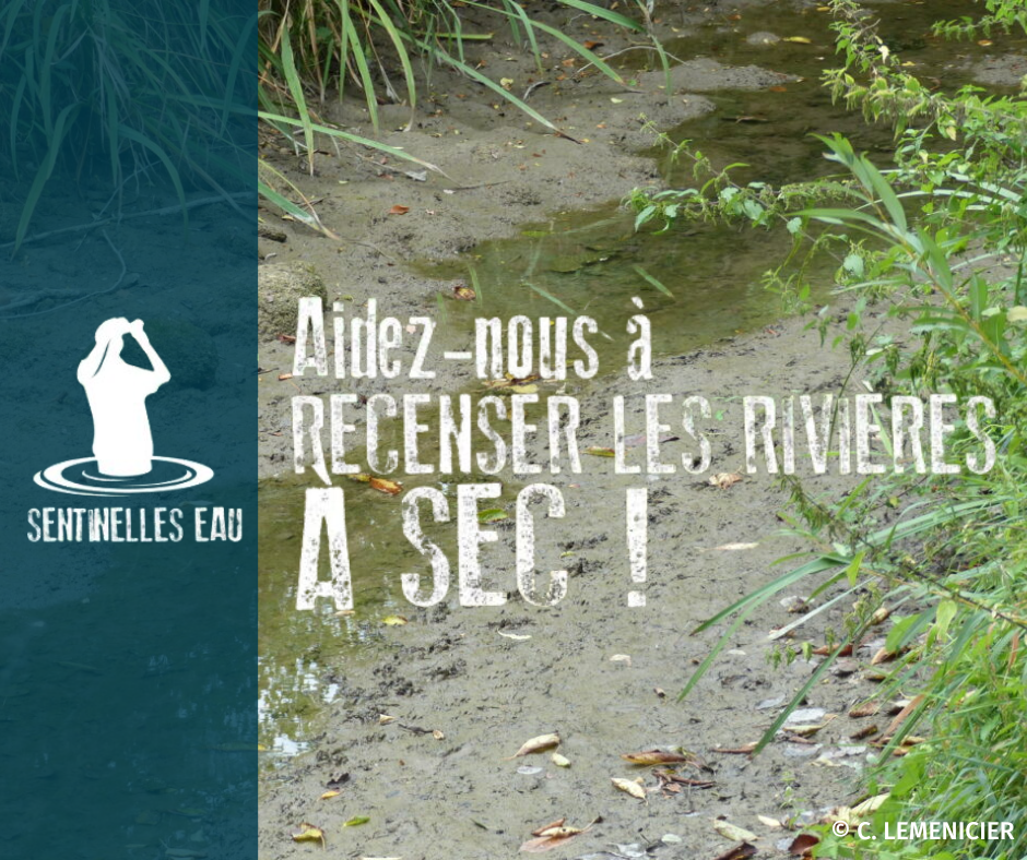 Campagne « A SEC ! » : nos cours d’eau ont besoin de vous !