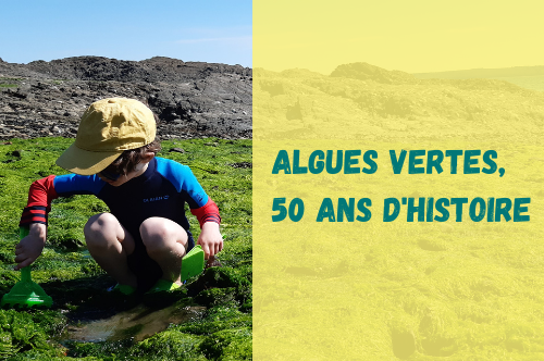 Eau et rivières de Bretagne contre les algues vertes - Rivières et Bocage