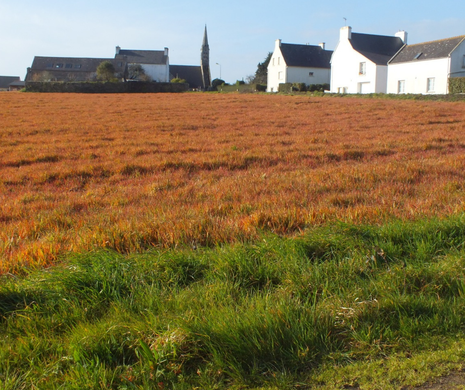 Protection des populations face aux pulvérisations de pesticides