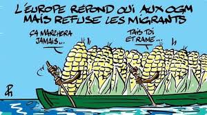 Quels sont les impacts des pesticides sur la santé?