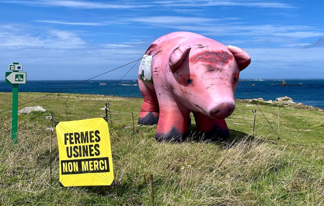 Malgré l'illégalité de son extension, Avel Vor obtient un nouveau délai de régularisation