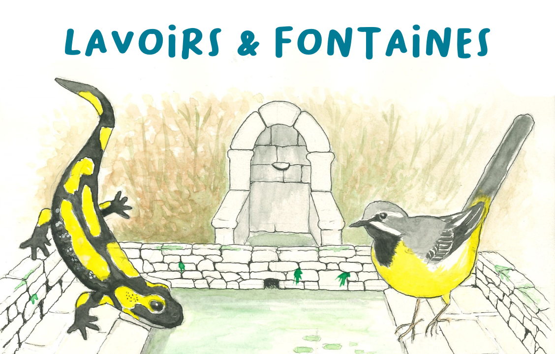 Magazine | Lavoirs et Fontaines