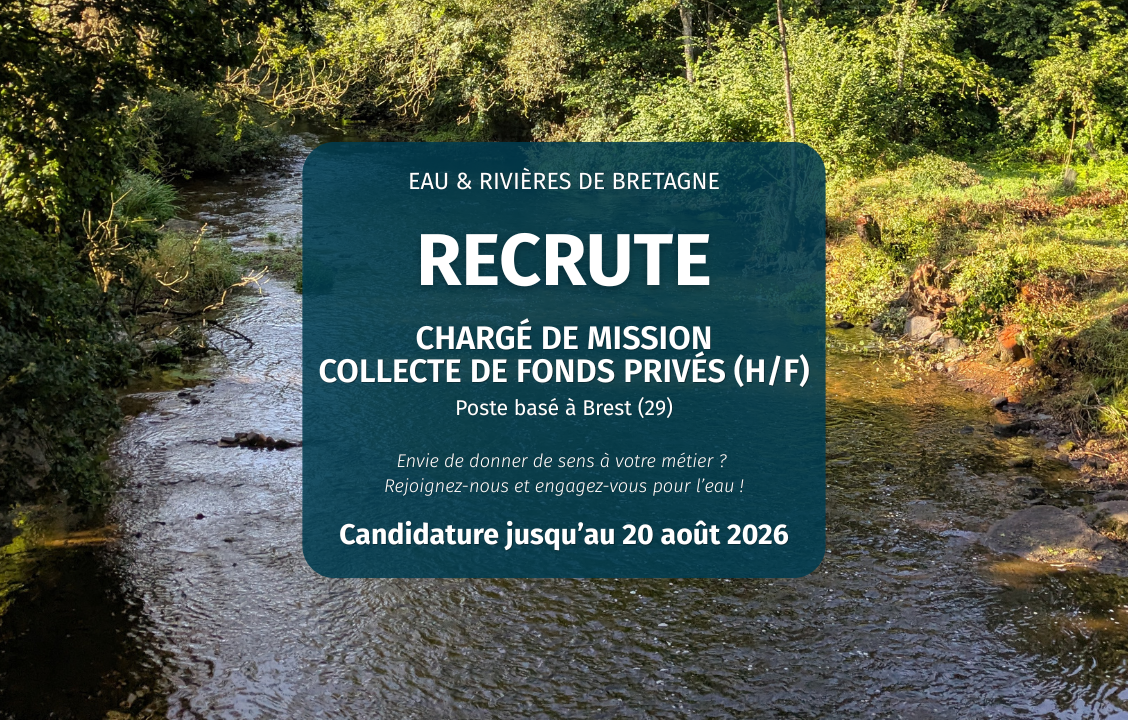 Offre d'emploi : Chargé·e de collecte de fonds privés