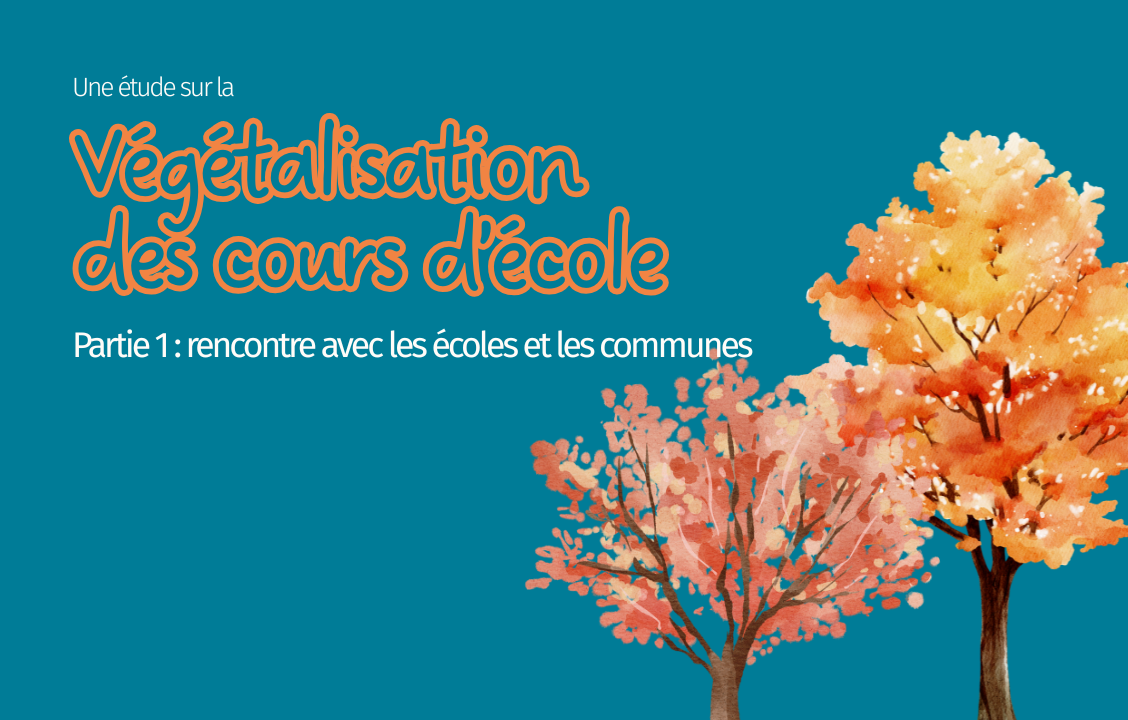 Une étude sur la végétalisation des cours d'école