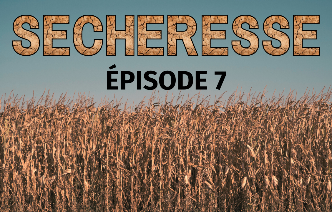 Sécheresse : cultivons l'eau verte