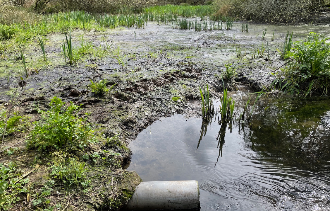 Fortes pluies : un risque accru de pollution des cours d’eau !