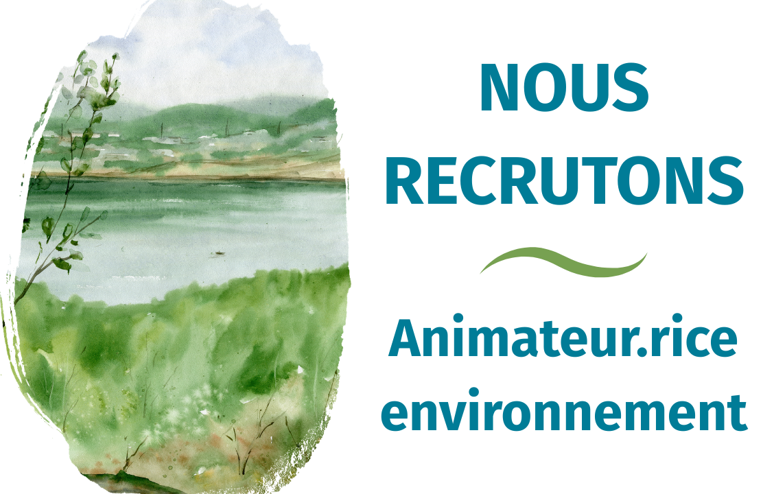 Nous recrutons un.e animateur.rice nature expérimenté.e Morbihan
