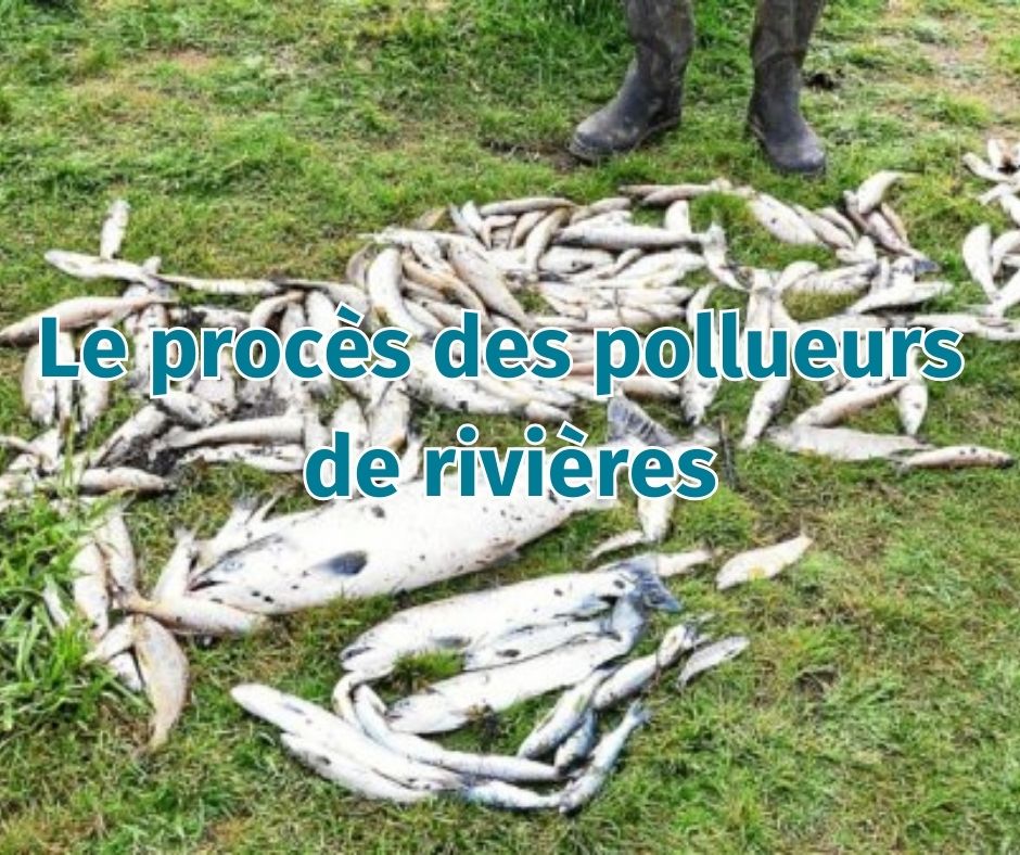 Journée test pour la justice environnementale