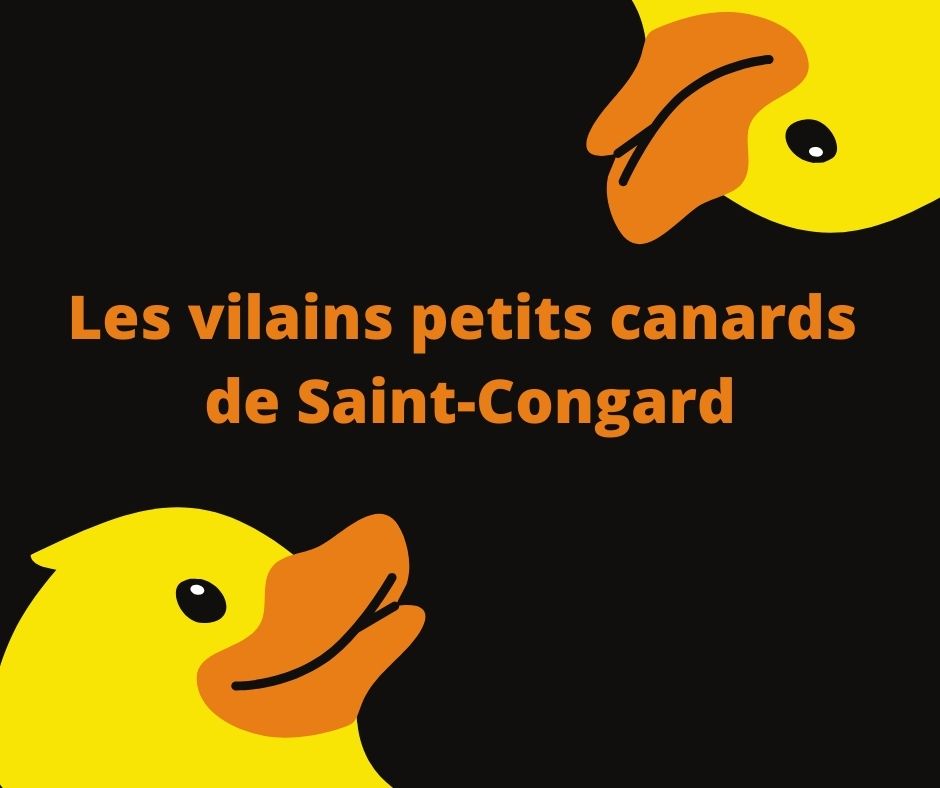 A Saint-Congard, on pratique le saucissonnage des procédures !