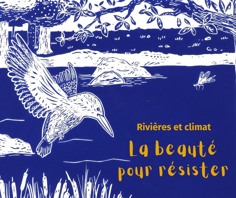 Notre magazine spécial sur le changement climatique