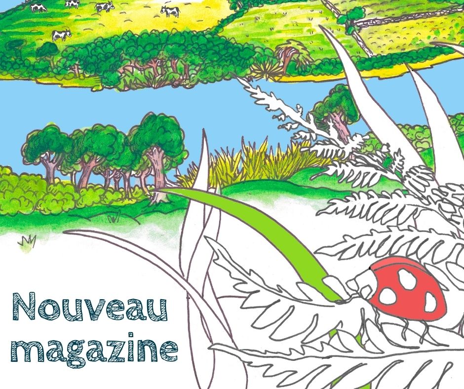 Magazine | Libérons nos rivières