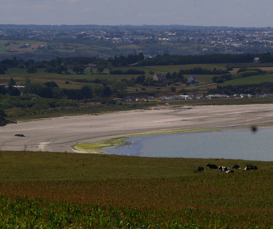 Baie de Saint-Brieuc | Le plaidoyer des associations