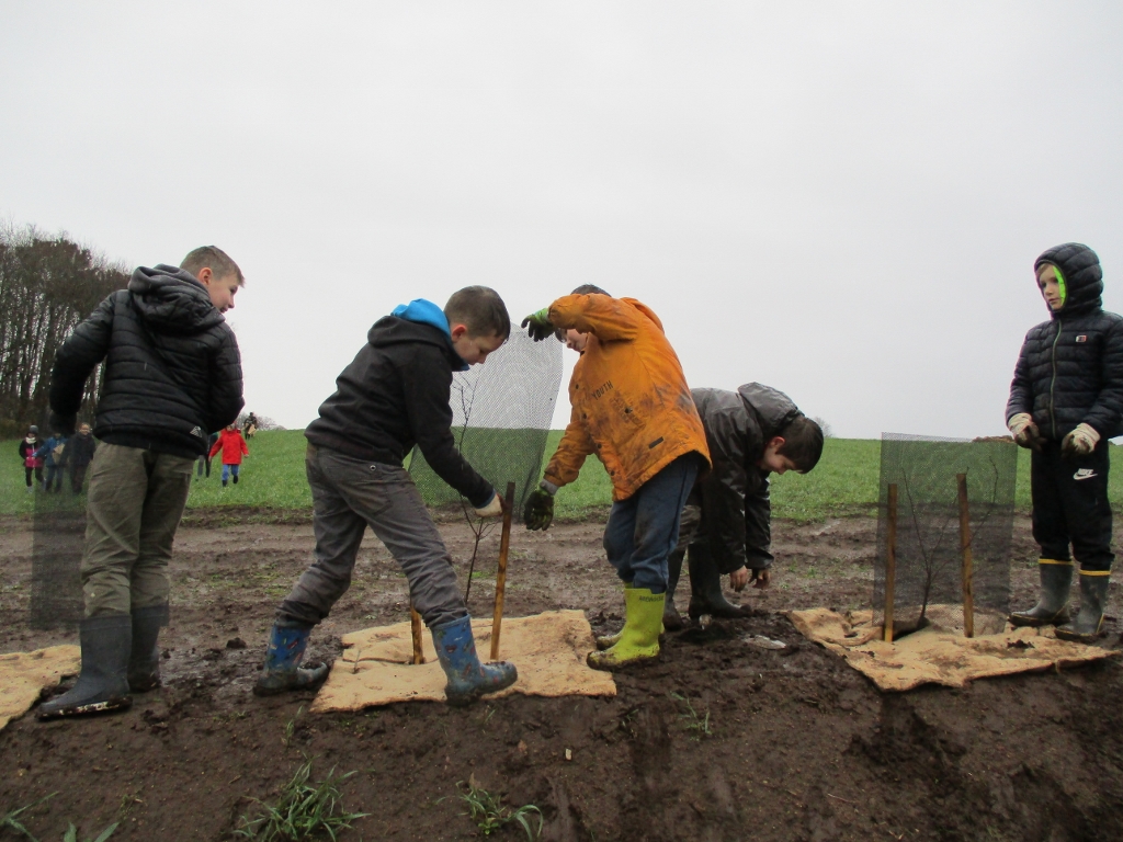 La plantation de haie sur talus par les jeunes citoyens