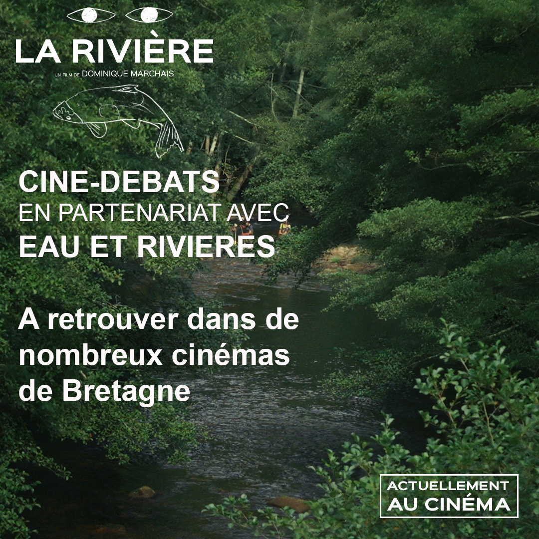 Participez aux ciné-débats sur le film 