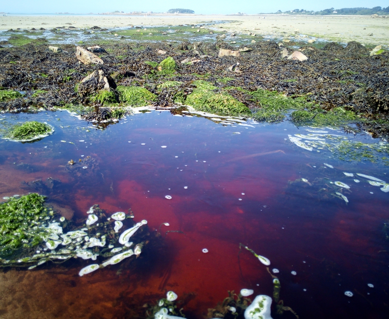 Le premier procès d'un serriste pour pollution de l'eau | Eau et Rivières  de Bretagne