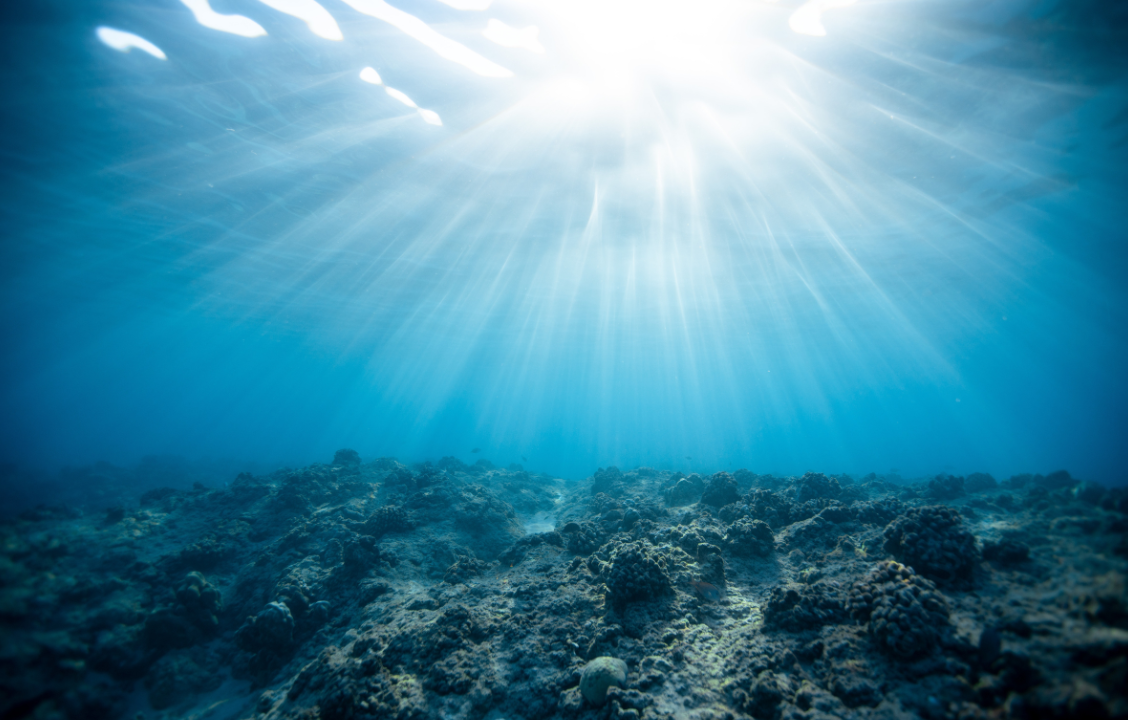 Milieu marin | l'Etat refuse de se donner les moyens de voir ce qu'il se passe