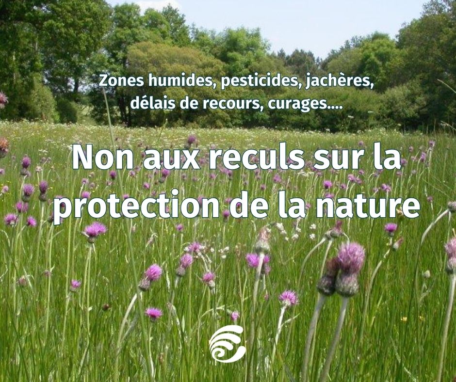 Pour calmer les agriculteurs, le gouvernement sacrifie la santé et la nature