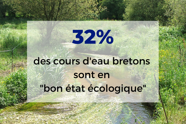 des cours d'eau bretons sont en bon état écologique .png