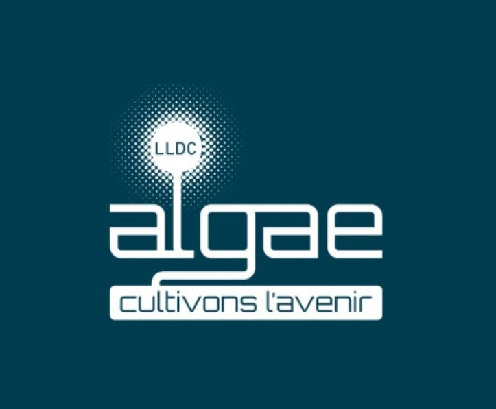 Atteintes à l'environnement | LDC Algae ne dit pas tout