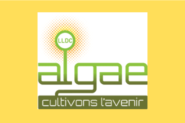 LDC Algae enfin condamnée pour destruction de zone humide