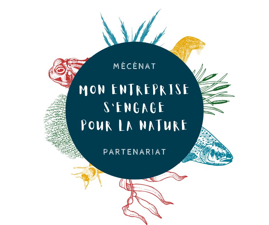 Entrepreneur, artisan : devenez notre partenaire