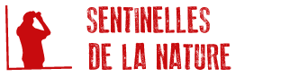 logo_sentinelles_nature-fne.png