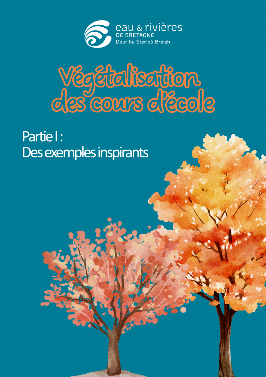 Visuel etude vegetalisation cours d'école.png